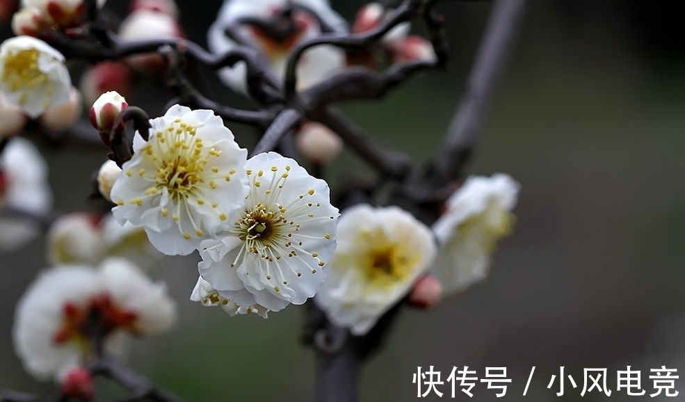 冬天&寒夜煮茗，围炉清谈。宋诗里的冬天温暖美好，是生活不可缺的诗意