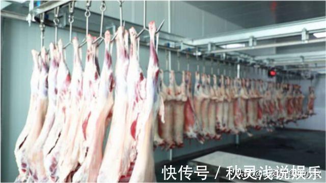 纽约客牛排|为啥中国的牛不做牛排?中国和外国的牛肉区别是这,别傻傻分不清