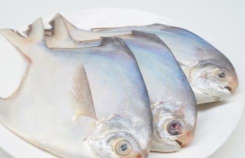 去市场买鱼，专挑5种，美味还便宜，老板：这一看就是行家