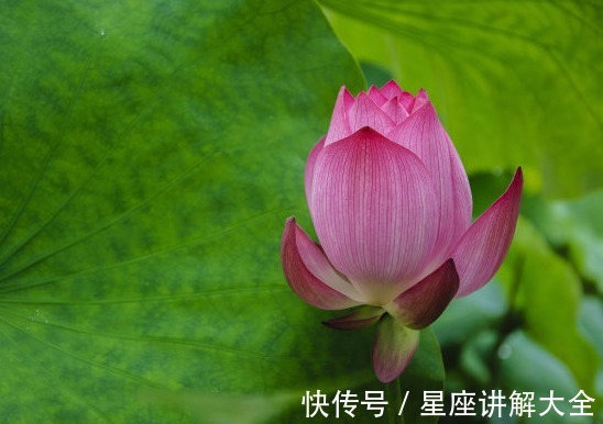 金生水相生局|到了2022年,4属相吉星关照,日子顺心,生活越来越如意