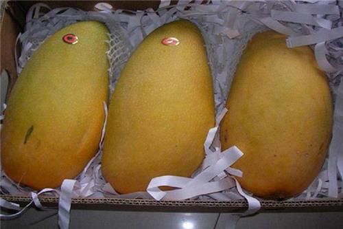 芒果|人到中年，推荐常吃3种食物，排毒清肠，养颜抗衰，滋补身体