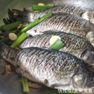 鲫鱼|从来没想过凉拌鲫鱼还能这么做