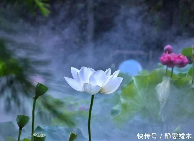 古人讲“过了夏至节,夫妻各自歇”,啥意思农村人才懂的俗语