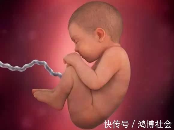 卵子|组图告诉你,怀孕1周到40周胎儿是怎么长大的,感叹生命的神奇