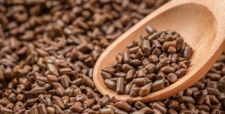 好习惯|从重度肝硬化到肝功正常，常坚持这四个好习惯，肝脏或许会感谢你