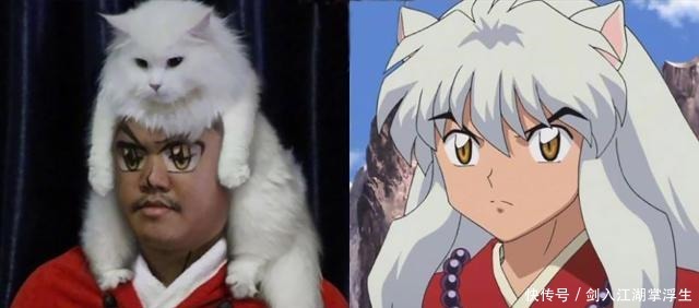 猫眼|泰国小哥最近和猫卯上了,黑猫白猫轮番上,猫眼里都是嫌弃