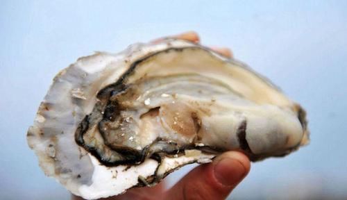 头发,越洗越油,越洗越少?坚持“3不要吃5物”,头发回到年轻时