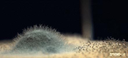马桶|不管房子多大，都要做好清洁工作，这2样清洁小物品，实用又便宜