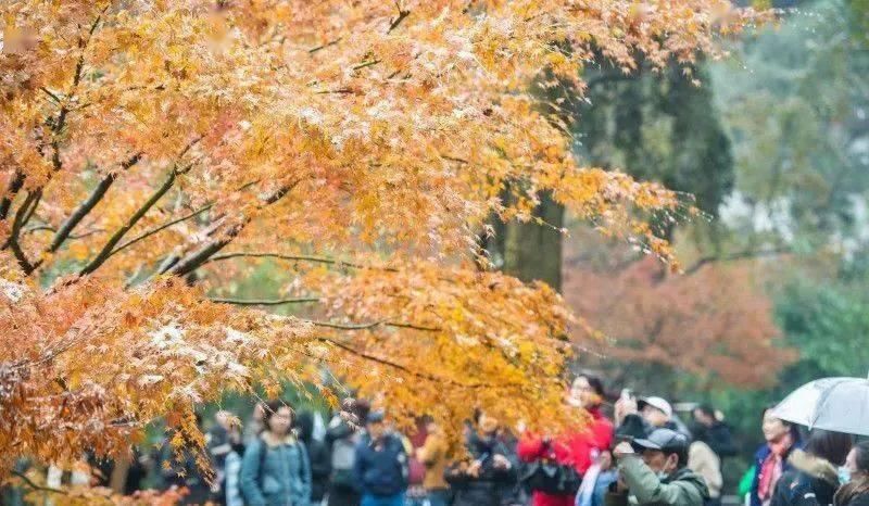 后一|美醉！长沙初雪后一波高颜值照片来袭