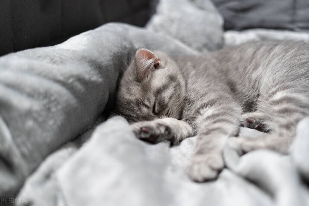 皱纹|年纪轻轻就长斑、脸上有皱纹,连头发也白了,小心失眠让你早衰