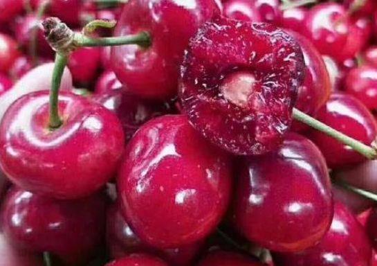 春天來了，食補很重要，營養(yǎng)豐富，美容養(yǎng)顏，滋補身體，早吃早好