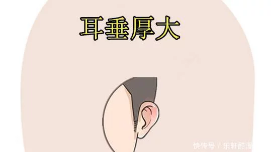 什么样面相有福气