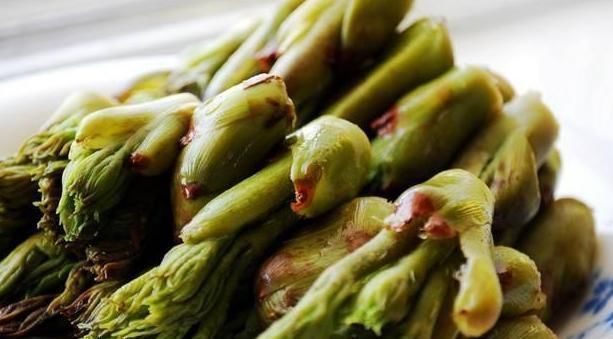 苦菜|五种抗癌、长寿的野菜在农村很常见,连医生都争着吃!你清楚吗?