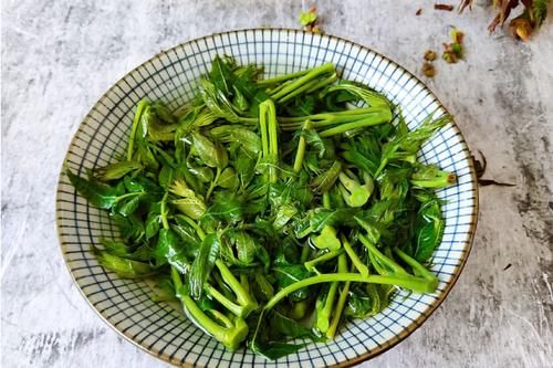 这菜其貌不扬，却浑身是宝，才5元1斤，家家户户都吃得起