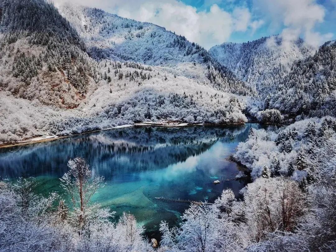 一场春雪 万种风情~九寨沟等你来“撩”！