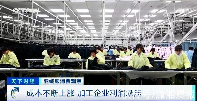 品牌 羽绒服轮番涨价！中高端产品卖到断货断码？咋回事？