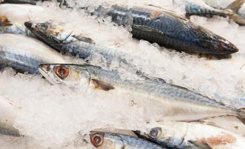 干贝|肾，为何是先天之本！营养师：10种食物是养肾“明星”，好吃不贵