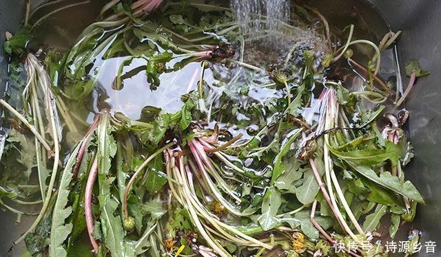 最近我迷上吃它,一拌一蒸好筋道,出锅蘸着料吃,2口一个,真香!