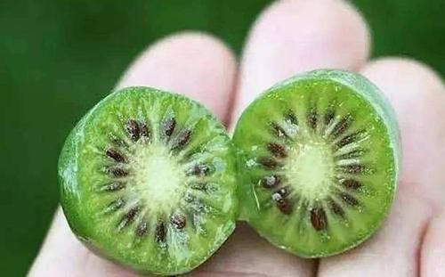 女人想年轻，适合吃的食物，保护皮肤，预防便秘，肌肤更白暂