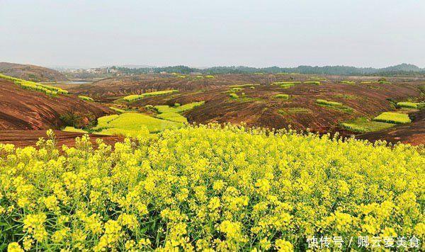 老年|阳春三月 百花盛开 尽情拥抱“花花世界”——韶关丹霞山