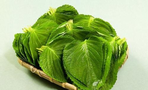 女人不想变“黄脸婆”，不妨试试3种食物，养肝护肝，脸色红润