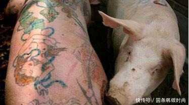 中国|老外在中国养猪,不为吃肉只为猪皮,并称猪皮比黄金还值钱!
