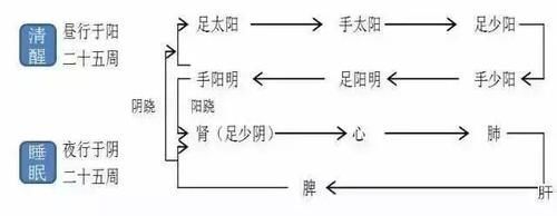 黄帝内经|我们都被“8小时睡眠论”害了，黄帝内经说“这样睡”才养生