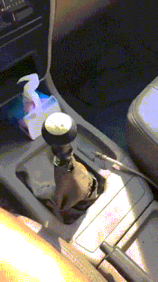 |搞笑GIF:这是谁家的闺女