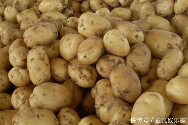 打了激素的土豆如何分辨老菜农教你几招，别再买错了！