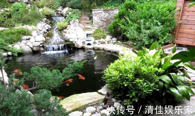 池塘|如果家里有个院子，就建个这样的鱼池吧，越住越富贵，真是太美了