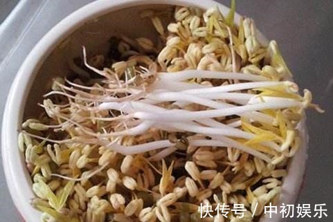 在家发豆芽好简单,只需水和豆,5天就发好,脆嫩好吃,干净卫生