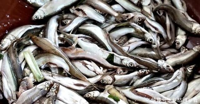 炸小鱼时，牢记3个小技巧，小鱼不破皮不粘锅，酥香好吃无腥味