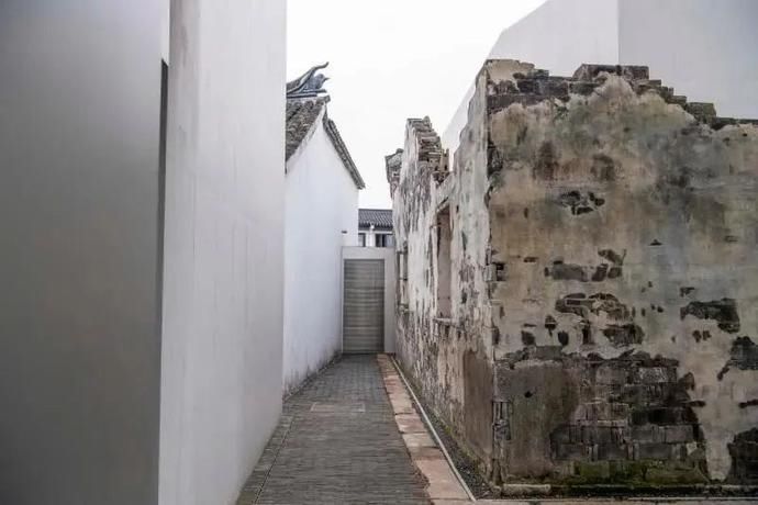  艺术|是自然的声籁，也是艺术的回响，它们在青浦悄悄发着光！