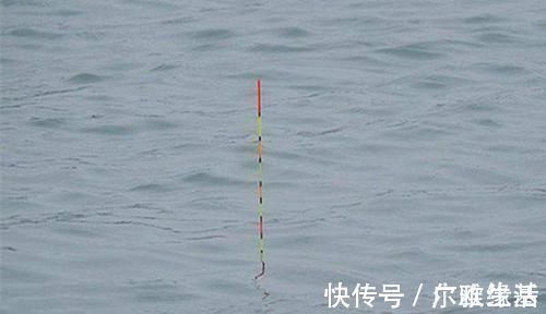 线组|钓鱼人的必修课：钓鱼调漂，何时最灵？何时最钝？