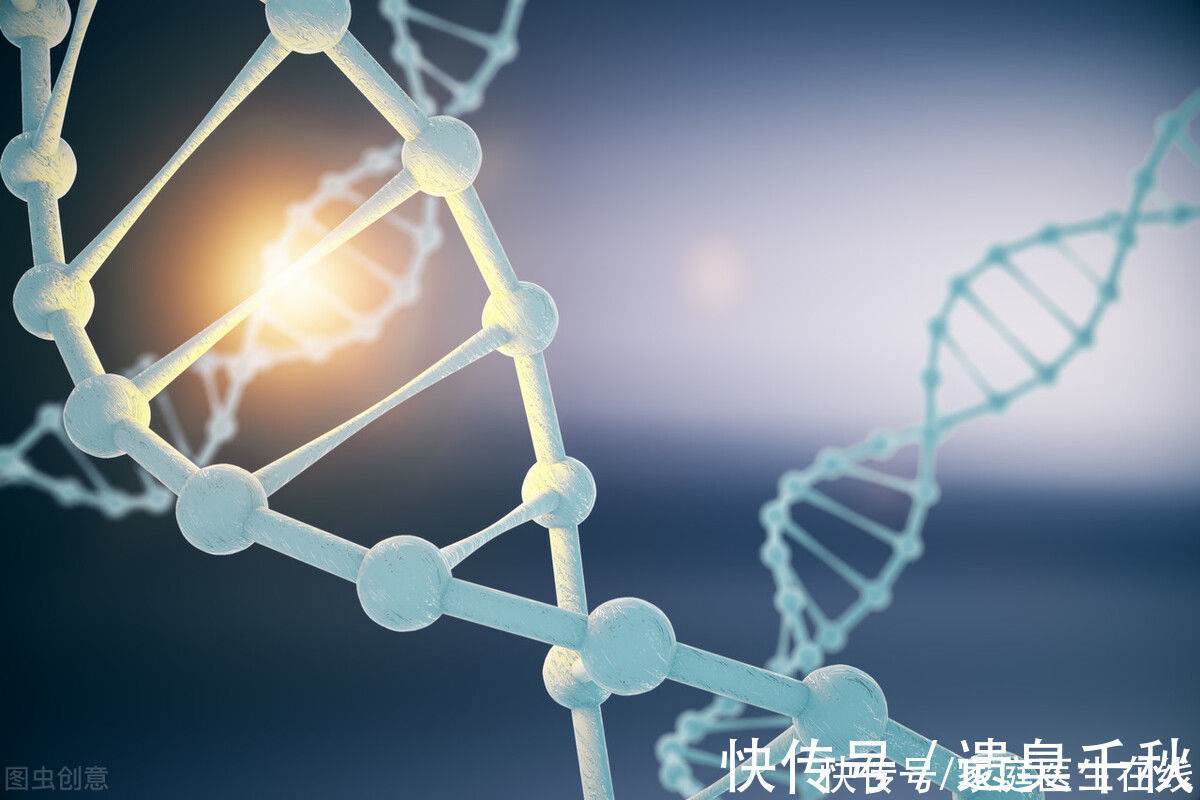 毛发|为何屁股上会长毛呢？有用吗？能剃掉吗？劝你别乱来，它有大作用