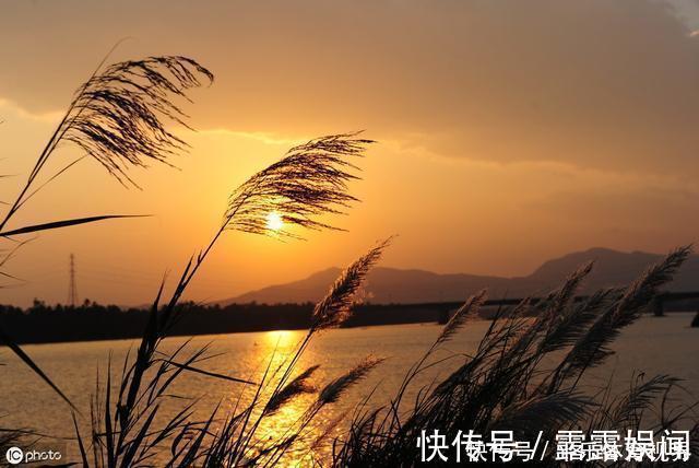 柳永|最全100句断肠诗,错过了就再也搜索不到的绝顶好文