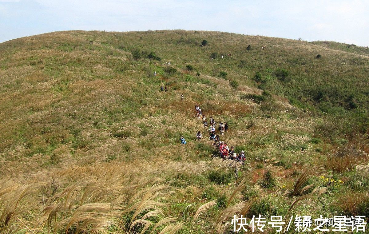 东盘山|福泉山漫山芦花消失，幸好还有东盘山，宁波唯一的高山草甸风光