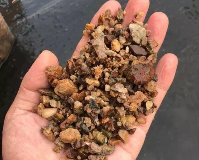 4种“废料”放盆底，烂根积水都不怕，养花其实很简单！