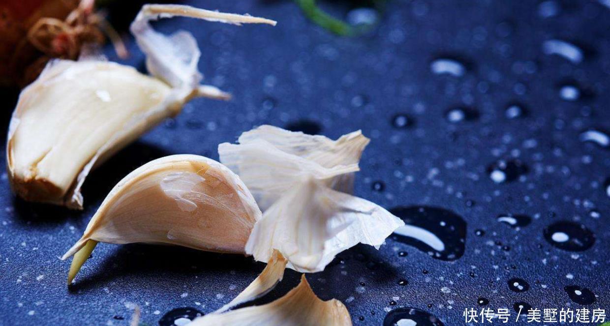 柑橘水溶液|盆栽爱招虫?用对方法,让盆栽跟虫虫说再见