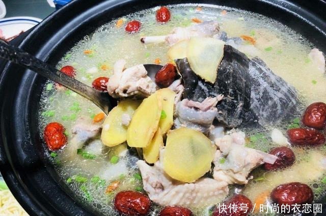 为什么我们只吃甲鱼却不吃乌龟看完解开多年疑惑