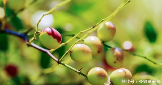 总是失眠,用一叶子泡水喝,每天来一点,一觉睡到大天亮
