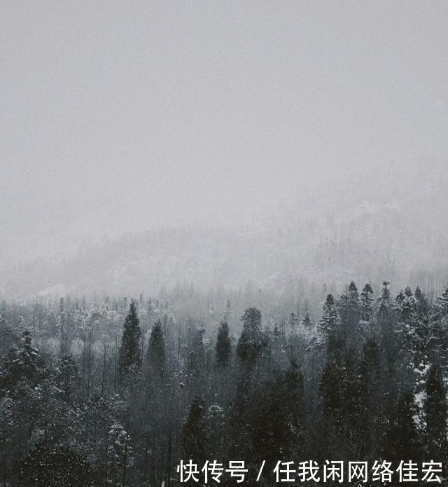 冬季探访成都崇州鸡冠山，宛若中世纪原始森林雪原！