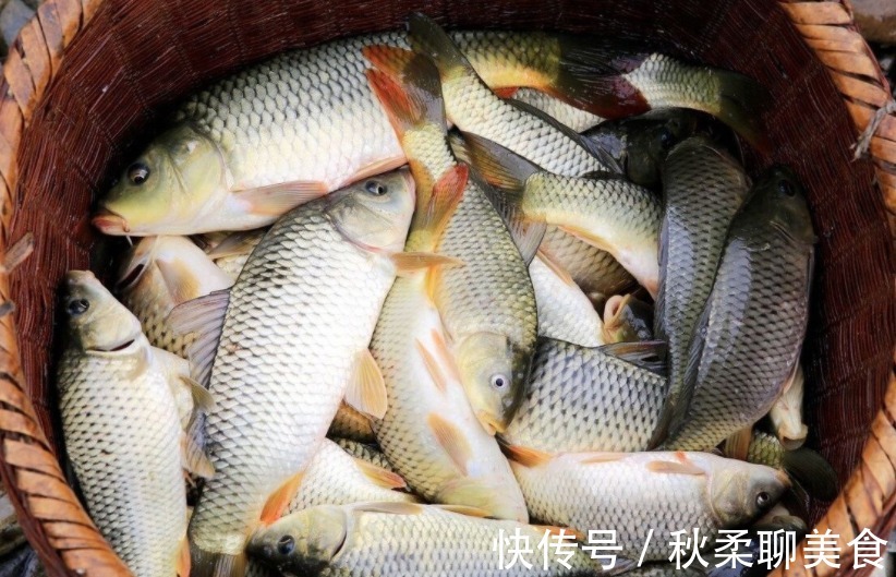 鱼肉|市面上“卖不掉”的死鱼去哪了?商家不小心说漏嘴,多数人都吃过