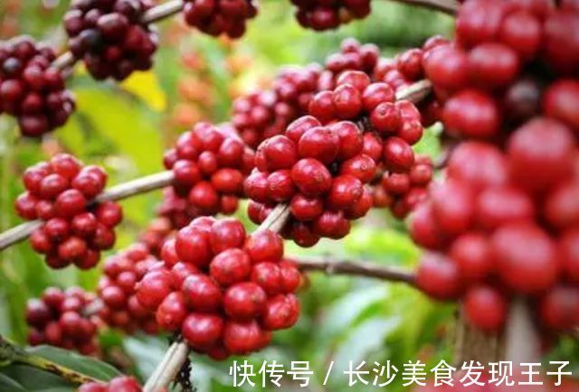 院士|研究肝病50年的89岁吴孟超院士：肝不好的人，家中这物要多吃