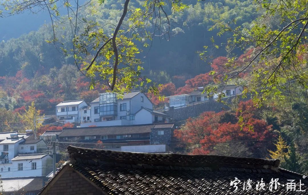 北溪|太绝了！宁波这个山村藏不住了！