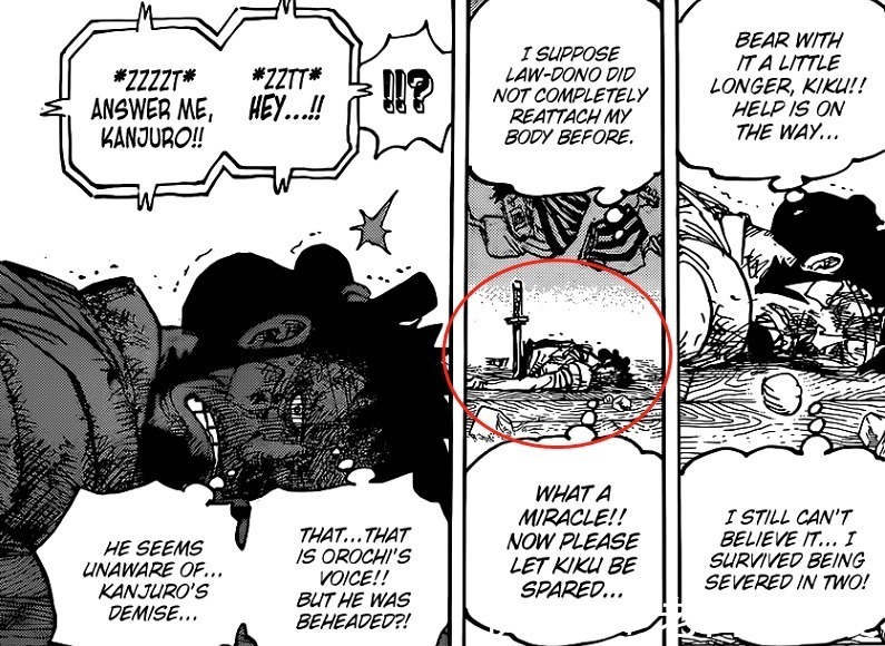 大妈|海贼王1030话:CP0来抓罗宾,罗和基德将会打败大妈