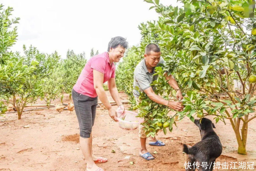 村民们|全红婵夺冠后遭教练警告:距完美差得远!全文茂连2万饭钱都得借