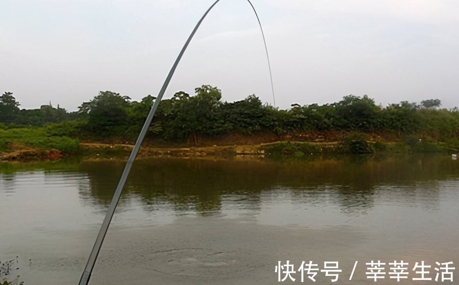 钓位|钓不到大鱼？是你没弄明白这几点钓大鱼的要素