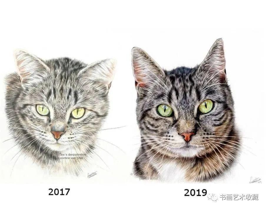  美女|一匹马画了16年！美女学渣逆袭成功，坚持下来很酷！