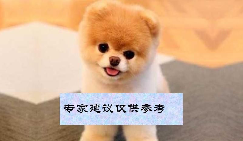 税费|共享会计师财税分享:公司为高管人员租房的涉税及账务处理